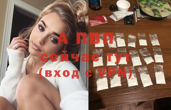 мяу мяу мука Белокуриха